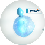 Click to watch how OPDIVO® can work with your immune system