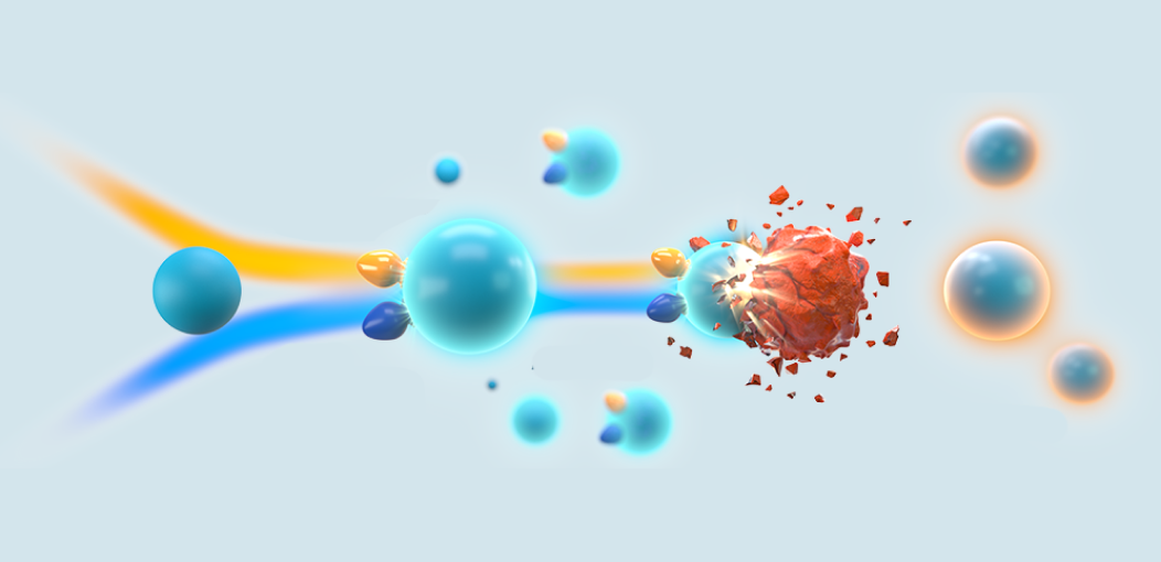How OPDIVO (nivolumab) + YERVOY® (ipilimumab) work together with the body’s immune system to fight cancer.