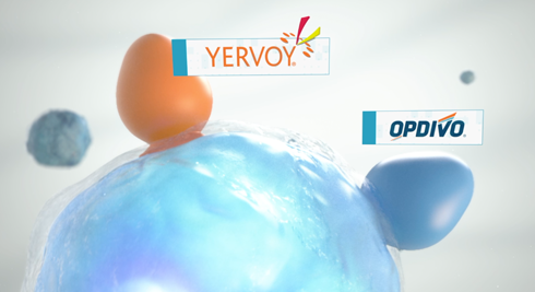 Click to watch the How OPDIVO and YERVOY Combination Works video